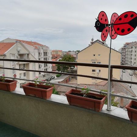 Apartment Branicevska 1 Požarevac Exteriör bild